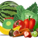 02-4 그림책 심리상담사 과정 이미지