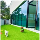 프리미엄맘 이미지