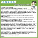 드림태권도장 | 아산 태권도 10개월 후기 - 초등생 두 아이가 달라진 이유 (드림태권도)