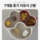 7개월 중기 이유식과 모유수유 근황, 자기주도 이유식 핑거푸드 도전