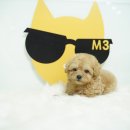 미스터앤 미세스멍 원주점 이미지