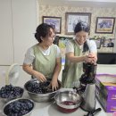 RE:포도🍇주스 미각체험 이미지