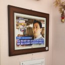 속초 동물의료센터 치료후기