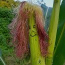 영빈상회 네이버블로그
