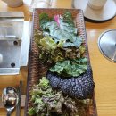 파크엘림 이미지