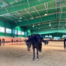 66.67. 돌아온 인덕원 승마스쿨 기승 사진