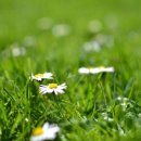 연수여자고등학교 이미지