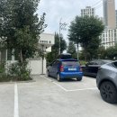 셀레네 동물병원 이미지