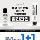 보니예 X 퀄라 라인 출시 기념 1 + 1이벤트