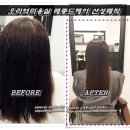 토마토헤어메종