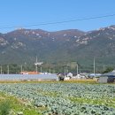 대덕읍 행정복지센터 이미지