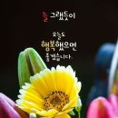 나는 수감자 [잘난 사람 영상 글] 이미지