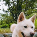 칠봉산민박 이미지