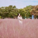 행복한오늘