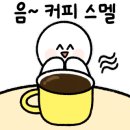 카페다율