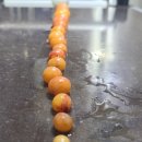 대장군농장 이미지