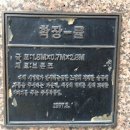 뉴코아사거리 이미지