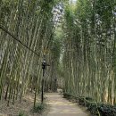 구례의길(섬진강길) Daum카페