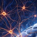 (주)신경 이미지