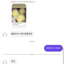 東京, 도쿄 워홀 | D+267 ~ 274 JLPT • 바다 구경 • 팬미팅 • 다마고치
