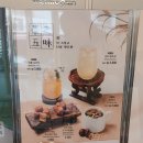 매머드 익스프레스 울산대학로점 | 울산 무거동 카페ㅣ 나의 단골 테이크아웃 전문점, '매머드커피' 구수한 카페라떼 & 할인 꿀팁 총정리!