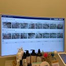 218-운정3-218 | 파주 운정 모바이오 파주운정점_두피 MTS 관리 후기 🧖🏻‍♀️🫧