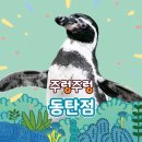 전희 | 경기도 실내 동물원 주렁주렁 후기｜아이들과 함께하는 체험형 동물원