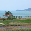 121..2025년 8월 20일..( 나무가 되고 싶다는 딸 아이, 이유를 물어보니...) 이미지