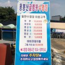 용봉산글램핑 | 용봉산 글램핑 수영장 다녀온 리얼후기:-)