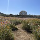 숲뜰근린공원 이미지