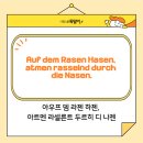 다흐(DACH)