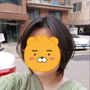 리오헤어3