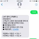 핸드폰 사용량 조회하고 싶은데 어플 깔거나 고객센터 전화하기 귀찮은사람 있지?(kt한정..) 이미지