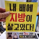 라라핏