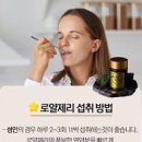 로열젤리 효능 먹는법 로열젤리 추천 달콤양봉 이미지