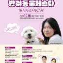 반려 이미지
