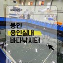 용인실내바다낚시터 | [용인_용인실내바다낚시터] 겨울에도 낚시를 즐기는 방법