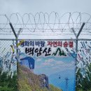 화천체육관 이미지