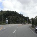 거시기식당 이미지