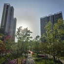 높은별공인중개사사무소 이미지