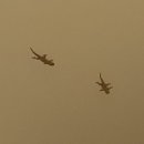 형제레지던스 이미지