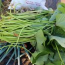 재학농장 이미지