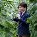 오이씨농장1 이미지