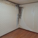 남현동-27 이미지