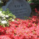 해오름터