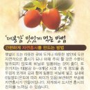 [판매] 장성 대봉감 (홍시) & 햇쌀 이미지