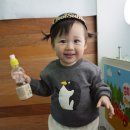 베이비꼬르소