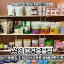 폴리독