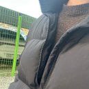 안흥유원지 | 이천 안흥지 산책 코스 후기｜겨울 얼음 호수뷰 + 목교 한 바퀴 걷기