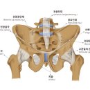 보라매자생한방병원 이미지
